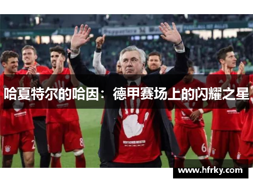 哈夏特尔的哈因：德甲赛场上的闪耀之星