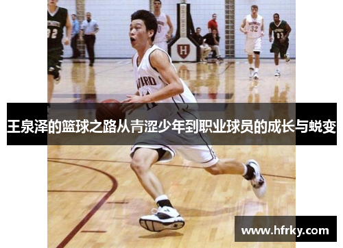 王泉泽的篮球之路从青涩少年到职业球员的成长与蜕变