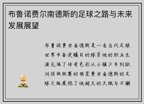 布鲁诺费尔南德斯的足球之路与未来发展展望